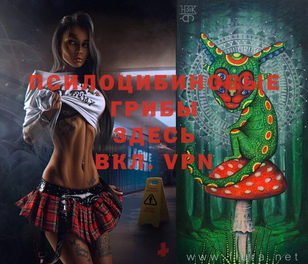 МДПВ Волоколамск