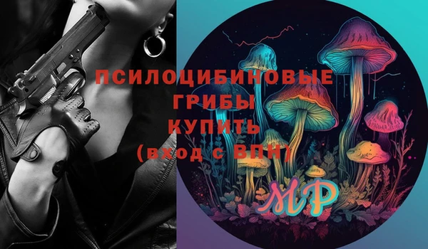 МДПВ Волоколамск