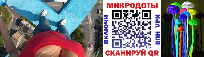 Галлюциногенные грибы Psilocybine cubensis  Купить  Кириллов 
